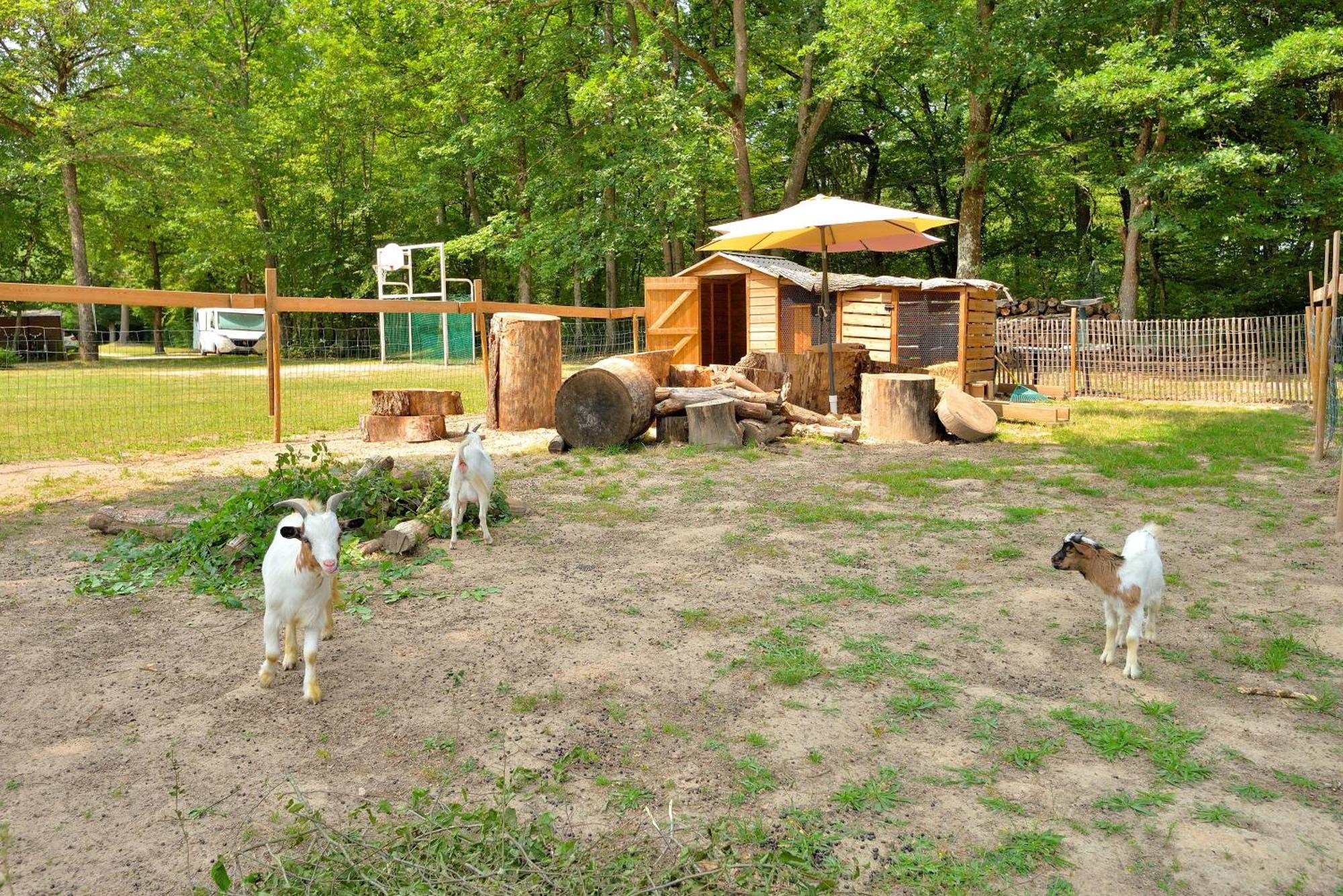 Camping Etang De La Vallee Combreux Bagian luar foto